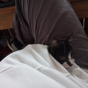 刘涛性爱一级片
