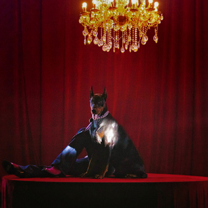 爱爱激情抽查视频
