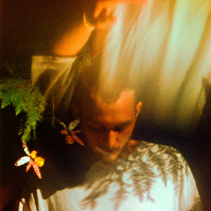 武松影视m8u3的更新情况
