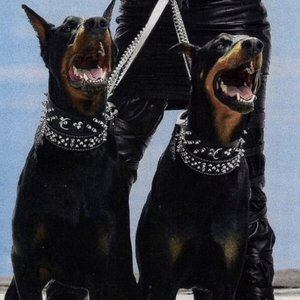 国产后入又长又硬
