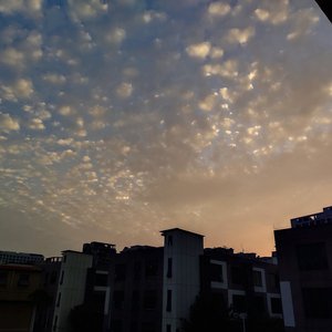 美国色情免费网站
