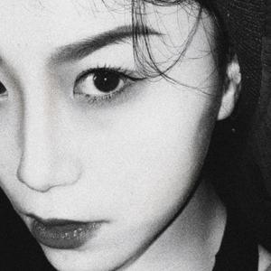 高质量新一代小豚导航
