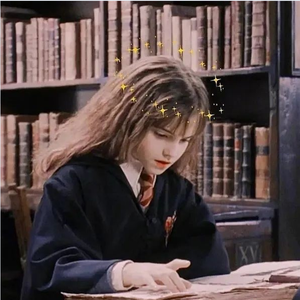 高质量新一代小豚导航
