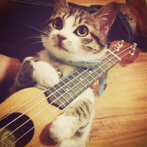 国产精品特黄特色三级视频
