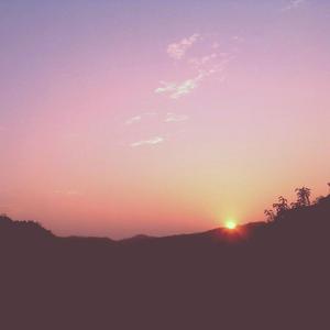 武松影视m8u3的更新情况
