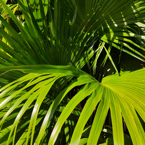 调教日本嫩模打屁股
