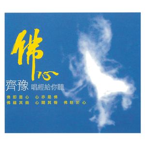 高质量新一代小豚导航
