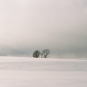 国产后入又长又硬
